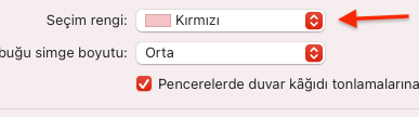 Apple Bilgisayar Seçim Rengi Değiştirme