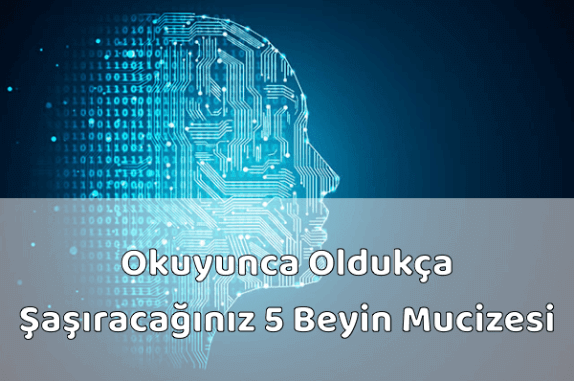 Beyin Hakkında İlginç Bilgiler Beyin Hakkında İlginç Bilgiler