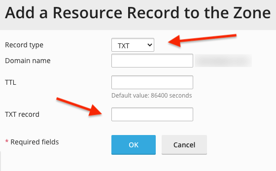 Plesk'te DNS TXT Kaydı Ekleme Nasıl Yapılır?