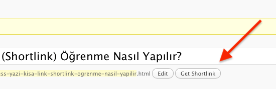 WordPress Yazı Kısa Link (Shortlink) Öğrenme Nasıl Yapılır?