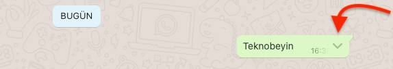 WhatsApp Web Mesaj Okundu Bilgisi Öğrenme Nasıl Yapılır? WhatsApp Web Mesaj Okundu Bilgisi Öğrenme Nasıl Yapılır?