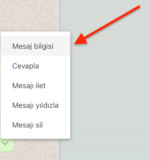 WhatsApp Web Mesaj Okundu Bilgisi Öğrenme Nasıl Yapılır? WhatsApp Web Mesaj Okundu Bilgisi Öğrenme Nasıl Yapılır?