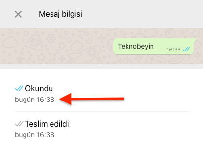 WhatsApp Web Mesaj Okundu Bilgisi Öğrenme Nasıl Yapılır?