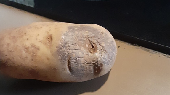 Bir Şeyi Başka Bir Şeye Benzetme Örnekleri - 1 Bir Şeyi Başka Bir Şeye Benzetme Örnekleri - 1