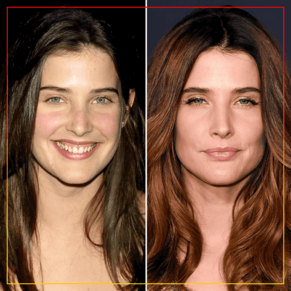 Cobie Smulders - Robin Scherbatsky Şimdiki Hâli