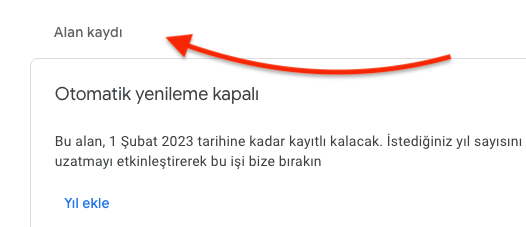 Google Domains Otomatik Yenileme Açma 2