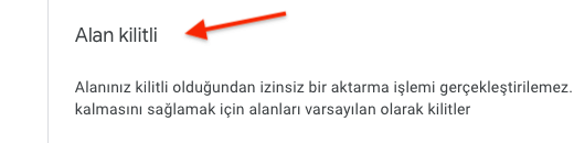 Google Domains Transfer Kilidi Açma 2