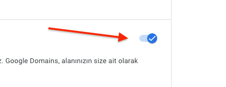 Google Domains Transfer Kilidi Açma 3