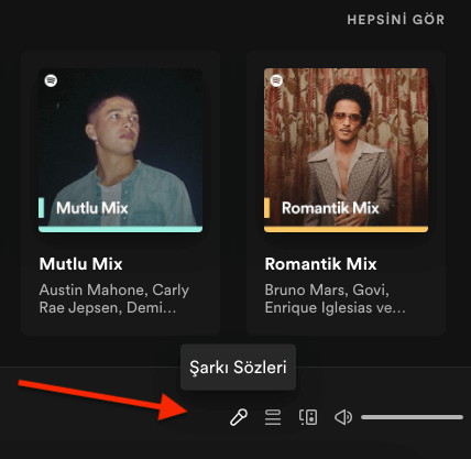 Spotify'da Şarkı Sözleri Görüntüleme 1