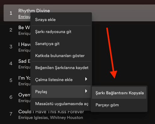 Spotify Şarkı Linki Almak 2