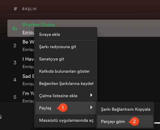 Spotify Parça Gömmek 1