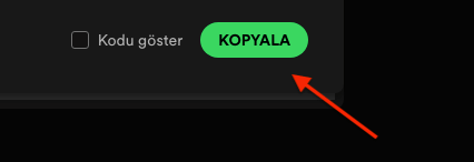 Spotify Parça Gömmek 3