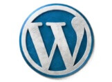 WordPress Son Sürüm İndirilme Sayısı Nasıl Öğrenilir?