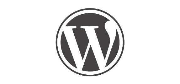 WordPress Son Sürüm İndirilme Sayısını Öğrenmek