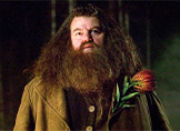 Robbie Coltrane