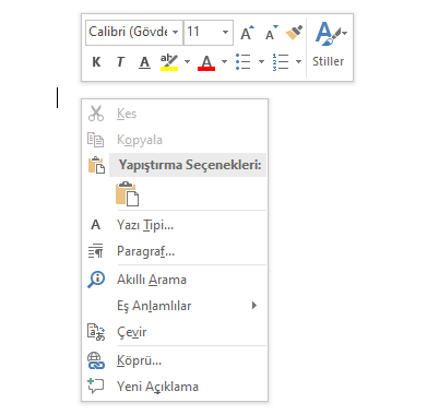 Word'de Mini Araç Çubuğunu Açma ve Kapatma Nasıl Yapılır? - 1 Word'de Mini Araç Çubuğunu Açma ve Kapatma Nasıl Yapılır? - 1