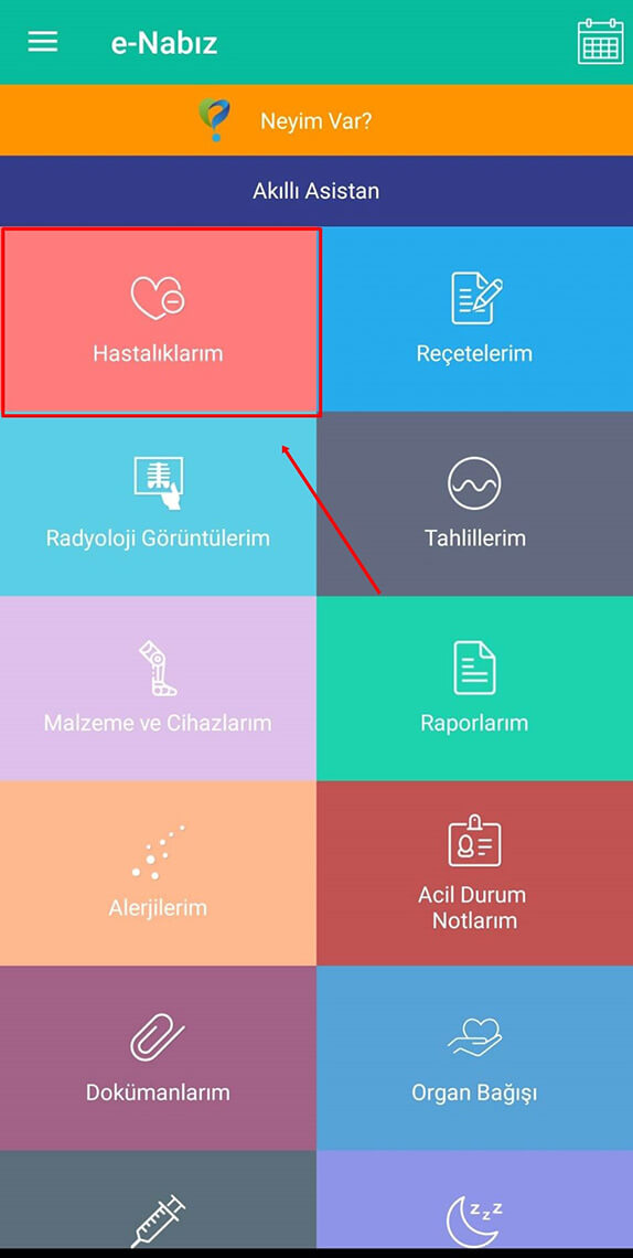 E-Nabız Hastalıklar ve Reçeteler Nasıl Görüntülenir? - 2