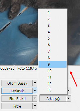 PhotoScape Fotoğraf - Resim Keskinleştirme Nasıl Yapılır? - 2 PhotoScape Fotoğraf - Resim Keskinleştirme Nasıl Yapılır? - 2