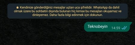 WhatsApp Mesajı Eğik (İtalik) Yazma Nasıl Yapılır? - 5