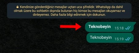 WhatsApp Mesajı Kalın Yazma Nasıl Yapılır? - 2