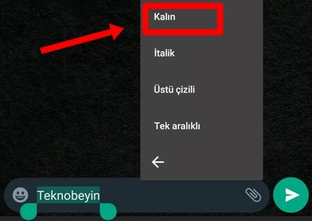 WhatsApp Mesajı Kalın Yazma Nasıl Yapılır? - 4