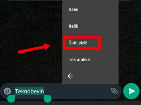 WhatsApp Mesajı Üstü Çizgili Yazma Nasıl Yapılır? - 4