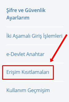 e-Devlet Erişim Kısıtlaması Nasıl Yapılır? - 2