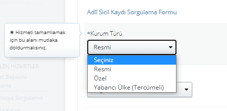 e-Devlet Adli Sicil Kaydı (Sabıka Kaydı) Sorgulama Nasıl Yapılır? - 4