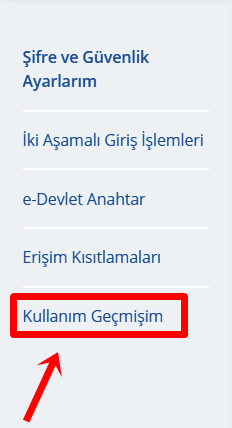 e-Devlet Kullanım Geçmişi Nasıl Görüntülenir? - 2