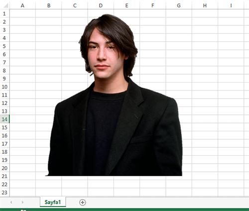 Excel Tablosunda Resmin Arka Planını Kaldırma Nasıl Yapılır? - 5
