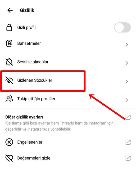 Threads Yorumlarda Rahatsız Edici Olabilecek Sözcükleri Gizleme Nasıl Yapılır? - 4