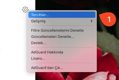 macOS AdGuard Bir Sayfaya İzin Vermek - 1 macOS AdGuard Bir Sayfaya İzin Vermek - 1