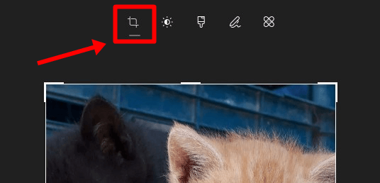 Windows 10 Resim Kırpma Nasıl Yapılır? - 3