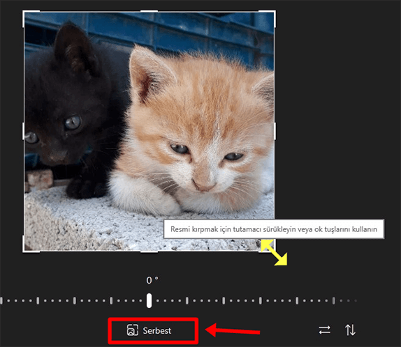 Windows 10 Resim Kırpma Nasıl Yapılır? - 4