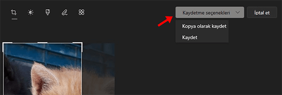 Windows 10 Resim Kırpma Nasıl Yapılır? - 6 Windows 10 Resim Kırpma Nasıl Yapılır? - 6