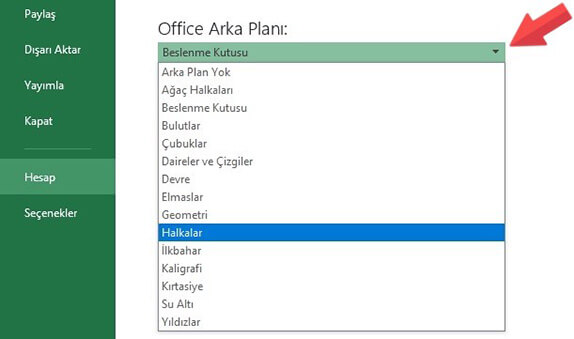 Excel Çalışma Kitabı Arka Plan Tema Resmi Değiştirme Nasıl Yapılır? - 4