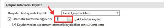 Excel Kaydedilmeyen Dosyaları Otomatik Olarak Kurtarma Nasıl Yapılır? - 4