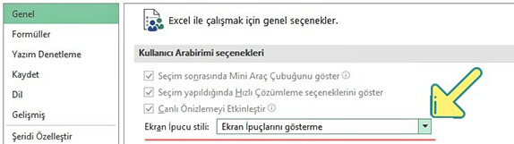 Excel Menü Şeridinde İpucu Açıklamalarını Gösterme Nasıl Yapılır? - 4