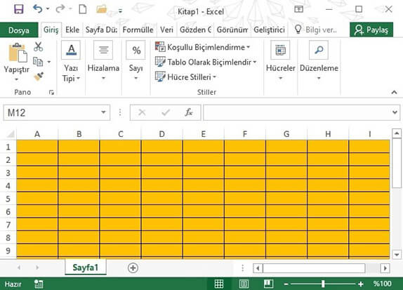 Excel Hücre Arka Plan Rengi Değiştirme Nasıl Yapılır? - 8