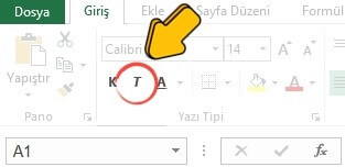 Excel Hücre Metinlerini İtalik (Eğik) Yazma Nasıl Yapılır? - 2