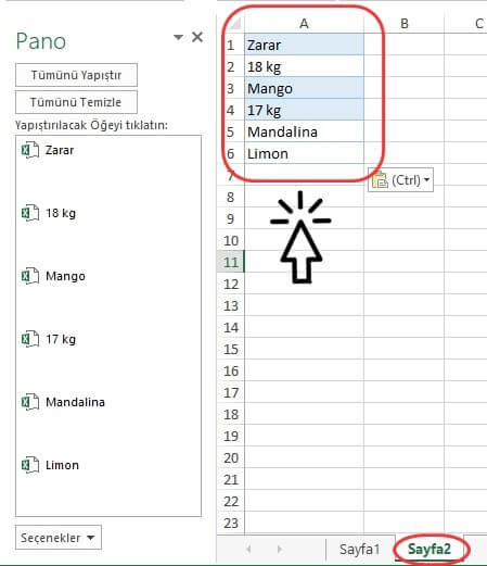 Excel Pano Nedir? Excel Pano Nasıl Kullanılır? - 5 Excel Pano Nedir? Excel Pano Nasıl Kullanılır? - 5
