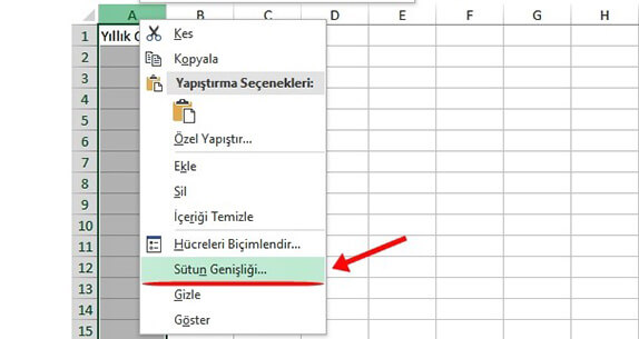 Excel Satır Yüksekliği ve Sütun Genişliği Ayarlama Nasıl Yapılır? - 2