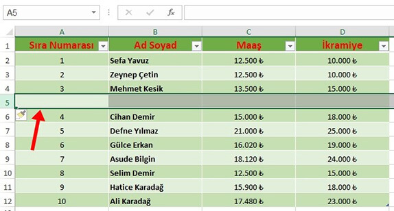 Excel Satır veya Sütun Ekleme Nasıl Yapılır? - 3