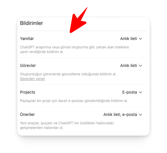 ChatGPT - Bildirim Ayarları - 3