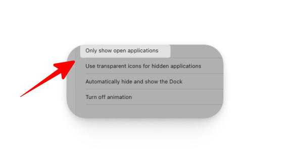 OnyX ile Dock'ta Sadece Açık Uygulamaları Göstermek